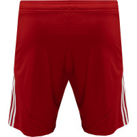 adidas Masters of Madness Real Boulette Special Short Rouge Blanc