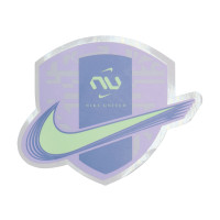 Nike Phantom Luna II Elite Gazon Naturel Chaussures de Foot (FG) Violet Clair Jaune Clair