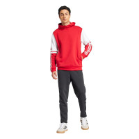 adidas Squadra 25 Sweat à Capuche Rouge Blanc