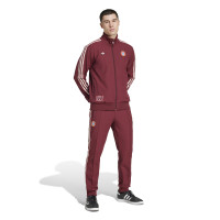 adidas Bayern München Terrace Icons Trainingsbroek Rood Wit
