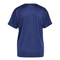 adidas Arsenal Terrace Icons T-Shirt Blauw Rood Wit