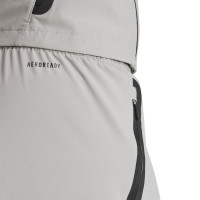 adidas Real Madrid Vis Tech Pantalon d'Entraînement 2024-2025 Gris