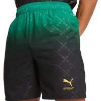 PUMA AC Milan X Off-White 4e Short 2024-2025