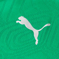 PUMA Maroc Maillot d'Entraînement 2024-2026 Vert Argenté