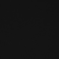 PUMA Maroc Maillot d'Entraînement 2024-2026 Noir Argenté