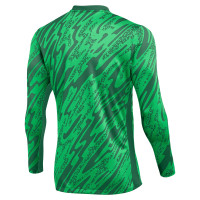 Nike Gardien V Keepersshirt Lange Mouwen Groen Wit