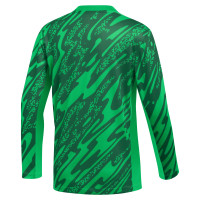 Nike Gardien V Keepersshirt Lange Mouwen Kids Groen Wit