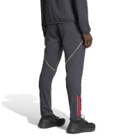 adidas Olympique Lyon Présentation Pantalon d'Entraînement 2025-2026 Gris Foncé Doré Rouge Bleu