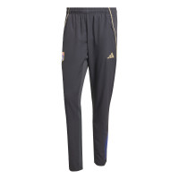 adidas Olympique Lyon Présentation Pantalon d'Entraînement 2025-2026 Gris Foncé Doré Rouge Bleu