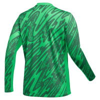 Nike Gardien V Keepersshirt Lange Mouwen Dames Groen Wit