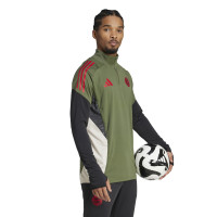 adidas Bayern Munich Haut d'Entraînement 1/4-Zip Europe 2025-2026 Vert Rouge Noir