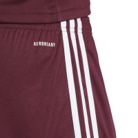 adidas Squadra 25 Tenue de Football Bordeaux Blanc