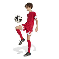 adidas Squadra 25 Voetbaltenue Kids Rood Wit