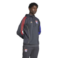 adidas Olympique Lyon Track Survêtement à Capuche 2025-2026 Gris Foncé Doré Rouge Bleu