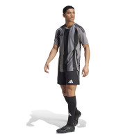 adidas Striped 24 Voetbalshirt Grijs Zwart