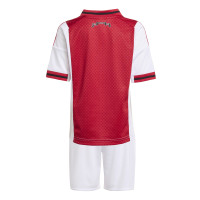 adidas Ajax Minikit Thuis 2025-2026 Peuters/Kleuters