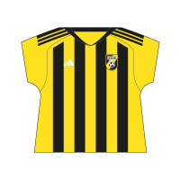 VV Haastrecht Shirtkussen Gepersonaliseerd