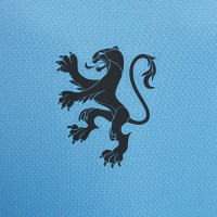 Nike Nederland Uitshirt OranjeLeeuwinnen 2025-2027 Kids + EK 2025 Badges
