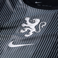 Nike Pays-Bas Lionnes Maillot de Gardien de But Manches Longues 2025-2027 Hommes Noir