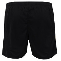 Nike Nederland Strike Trainingsset OranjeLeeuwinnen 2025-2027 Dames Brons Zwart Wit