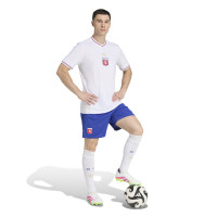 adidas Olympique Lyon 75 Ans Maillot de Foot Anniversaire