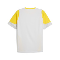 PUMA Borussia Dortmund Trainingsshirt 2025-2026 Zilver Geel