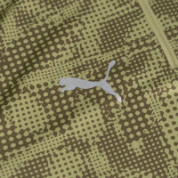 PUMA Cercle Bruges Haut d'Entraînement 1/4-Zip 2025-2026 Vert