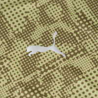 PUMA Cercle Bruges Maillot d'Entraînement 2025-2026 Vert