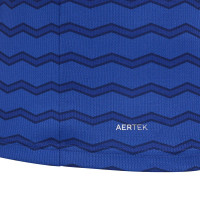 Castore Everton Maillot Domicile 2025-2026