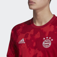 adidas Bayern Munchen Thuis Pre Match Trainingsshirt 2019-2020