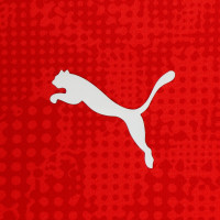 PUMA AC Milan Trainingsshirt 2025-2026 Rood Zwart Wit