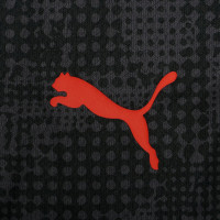 PUMA AC Milan Haut d'Entraînement 1/4 Zip 2025-2026 Noir Rouge
