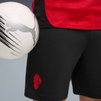PUMA AC Milan Ensemble Training 2025-2026 Noir Rouge