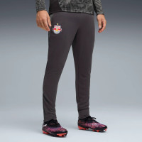 PUMA Red Bull Salzburg Survêtement 1/4-Zip 2025-2026 Gris Foncé Noir Rouge