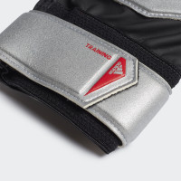 adidas PREDATOR TRN Keepershandschoenen Zilver Zwart