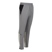 Survêtement Cruyff Elite 2.0 pour Enfants, gris clair, gris, noir