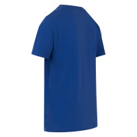 Cruyff League Zomerset Blauw