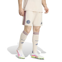 adidas Ajax Tenue 3rd 2025-2026