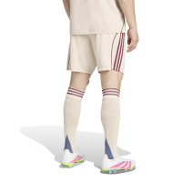 adidas Ajax Ensemble 3rd 2025-2026