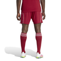 adidas Liverpool Short Domicile 2025-2026