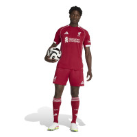adidas Liverpool Short Domicile 2025-2026