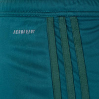 Shorts d'extérieur adidas PEC Zwolle 2025-2026