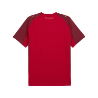 PUMA Red Bull Salzburg Maillot 3rd 2025-2026