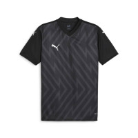 PUMA teamGLORY Voetbalshirt Zwart Wit Grijs