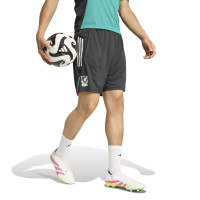 adidas Liverpool Short d'Entraînement Europe 2025-2026 Noir Blanc Vert