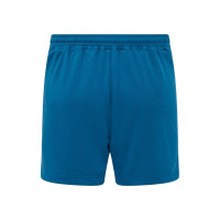 Pantalons d'entraînement d'avant-match Castore Feyenoord 2025-2026 pour Enfants, bleu foncé, gris