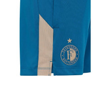Pantalons d'entraînement d'avant-match Castore Feyenoord 2025-2026 pour Enfants, bleu foncé, gris