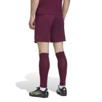 Kit de football adidas Entrada 26 rouge foncé blanc