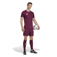 Kit de football adidas Entrada 26 rouge foncé blanc