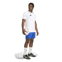 Kit de football adidas Entrada 26 bleu blanc